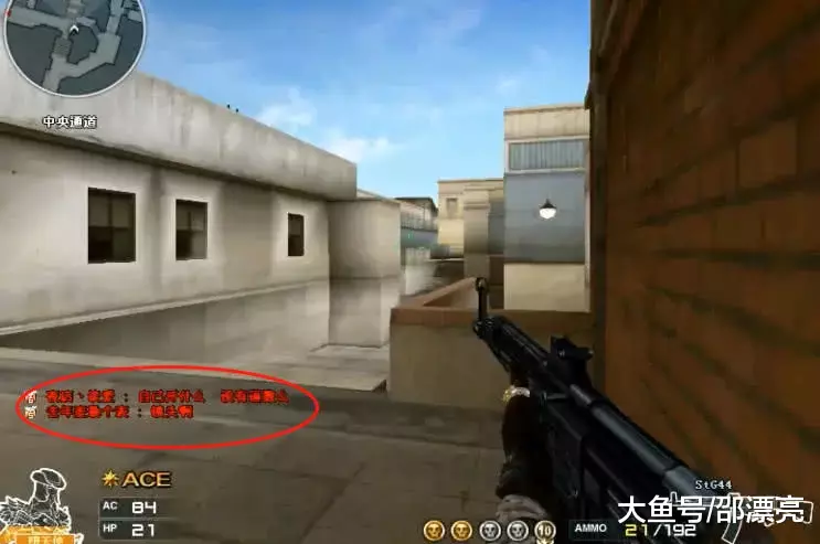 必须是学长！ Vampire 龙龟以1-17输给2023新生队，2023新生队击败2024新生队